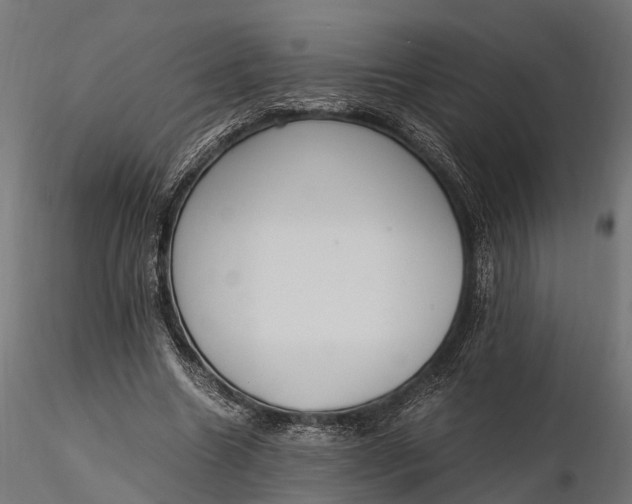 X0000116330538200912151307