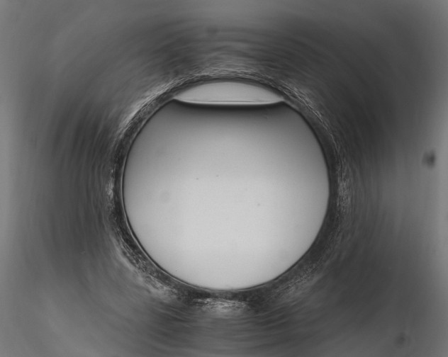 X0000116330539200912151307