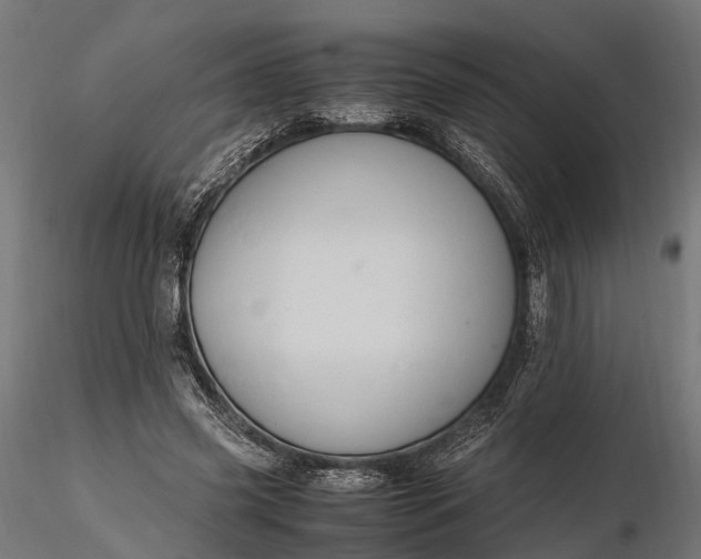 X0000116330541200912151307