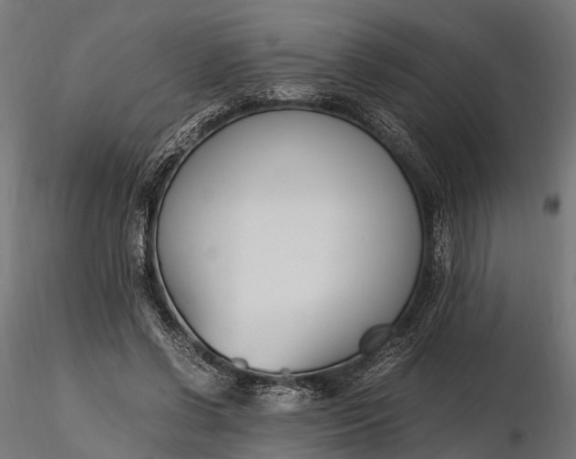 X0000116330542200912151307