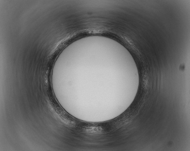 X0000116330543200912151307