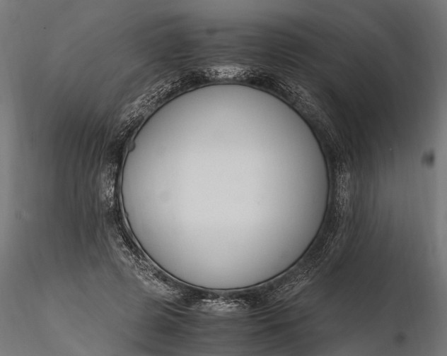 X0000116330545200912151307