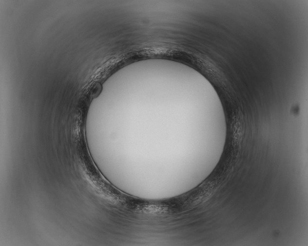 X0000116330546200912151307