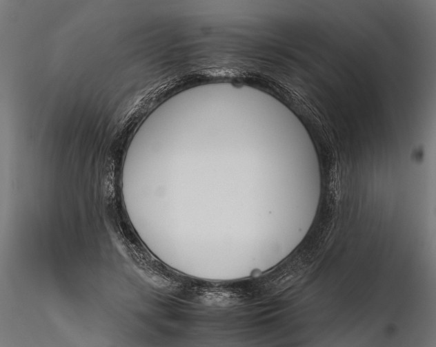 X0000116330547200912151307