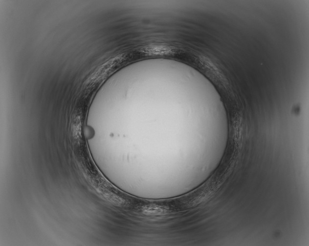 X0000116330549200912151307