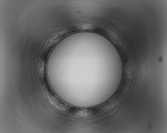 X0000116330550200912151307