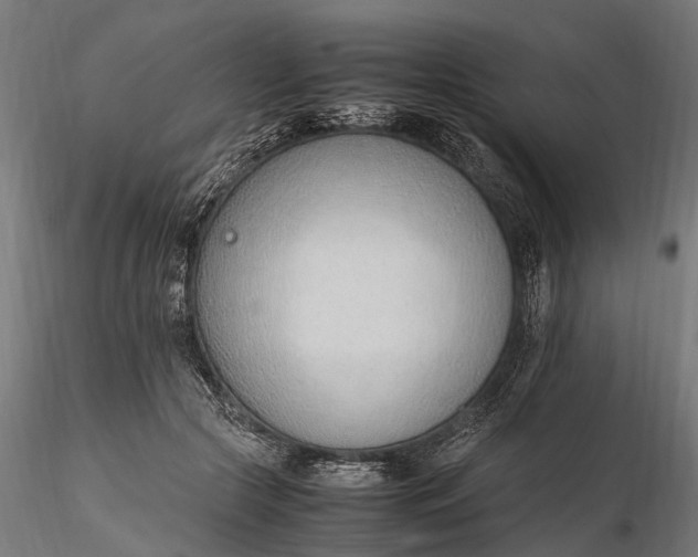 X0000116330553200912151307