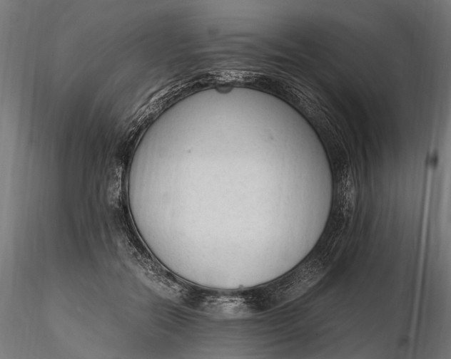 X0000116330554200912151307