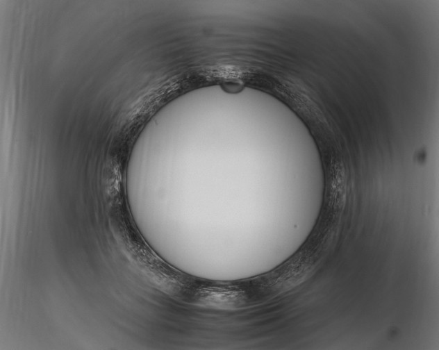 X0000116330555200912151307