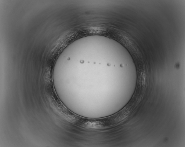 X0000116330557200912151308