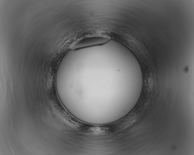 X0000116330558200912151308