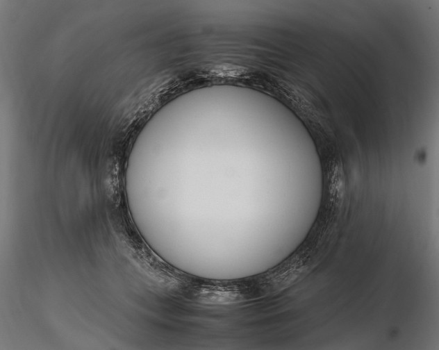 X0000116330559200912151308