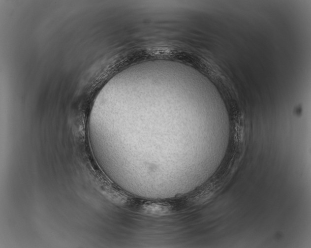 X0000116330561200912151308