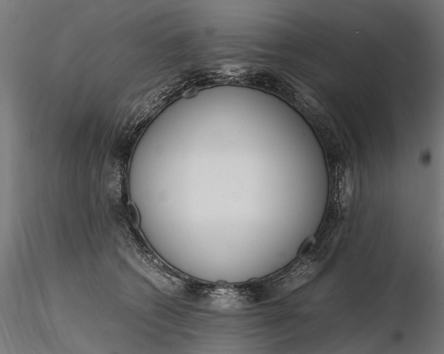 X0000116330562200912151308