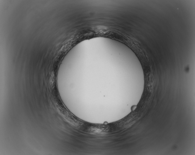 X0000116330563200912151308