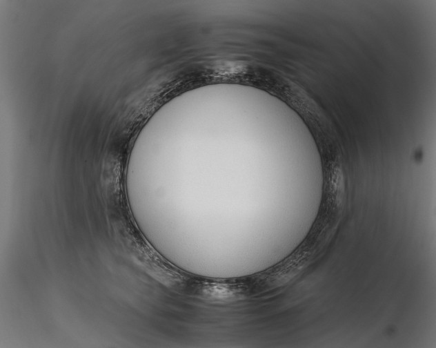 X0000116330565200912151308