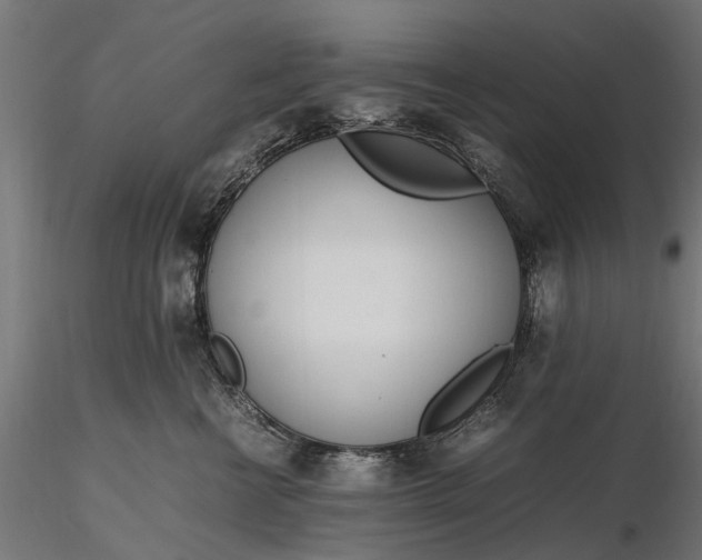 X0000116330570200912151308