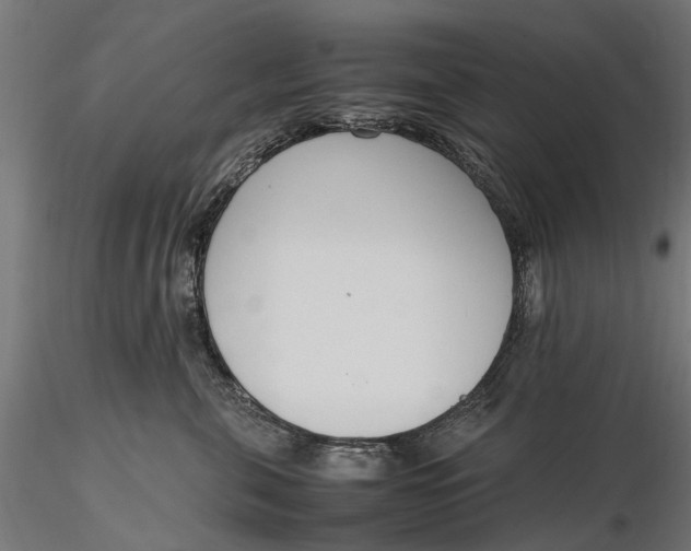 X0000116330571200912151308