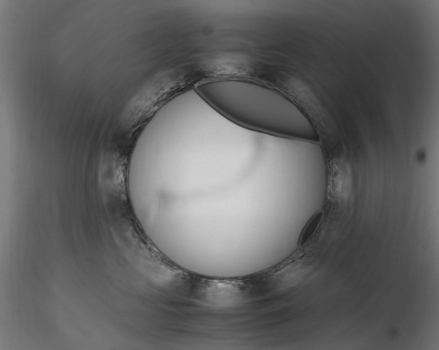 X0000116330573200912151308