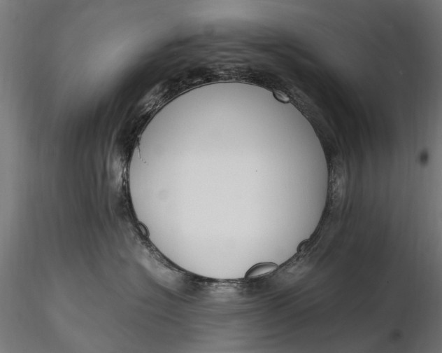 X0000116330574200912151308