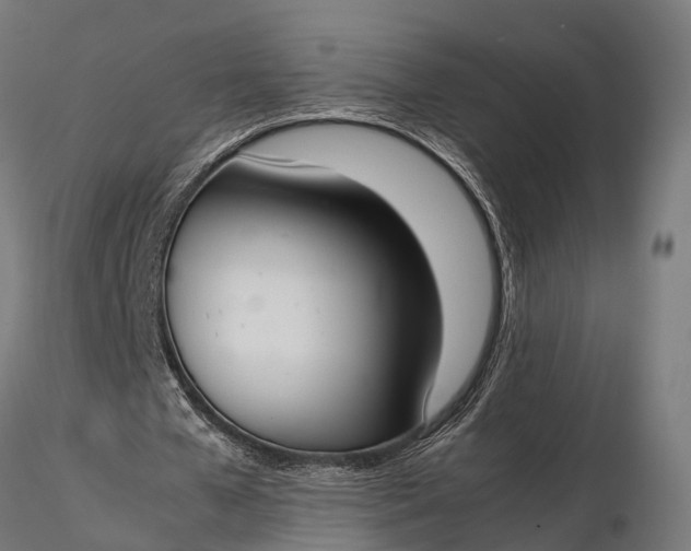 X0000116330577200912151307