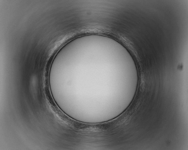 X0000116330578200912151307