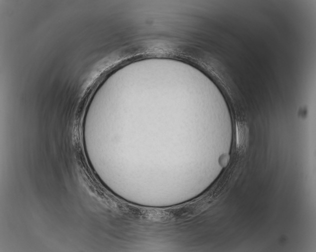 X0000116330579200912151307