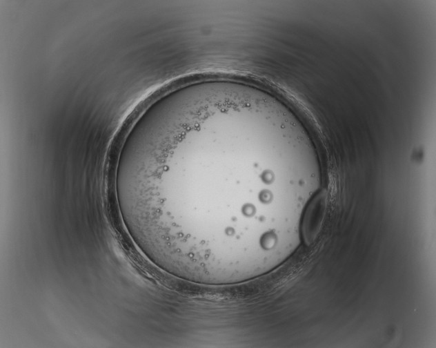 X0000116330580200912151307