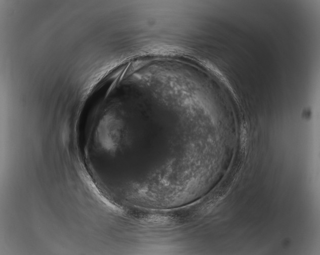 X0000116330581200912151307