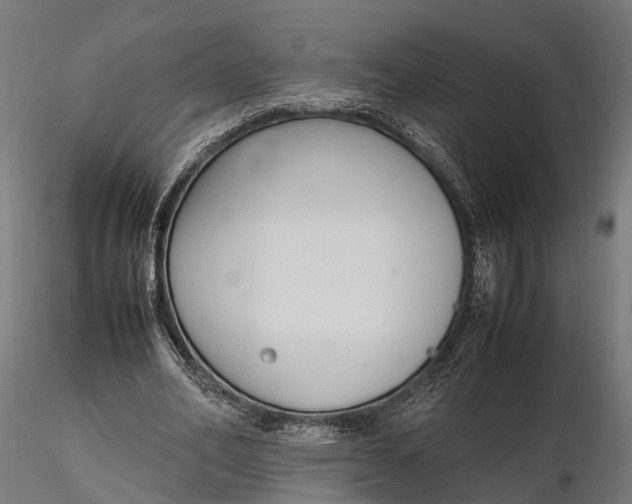 X0000116330582200912151307