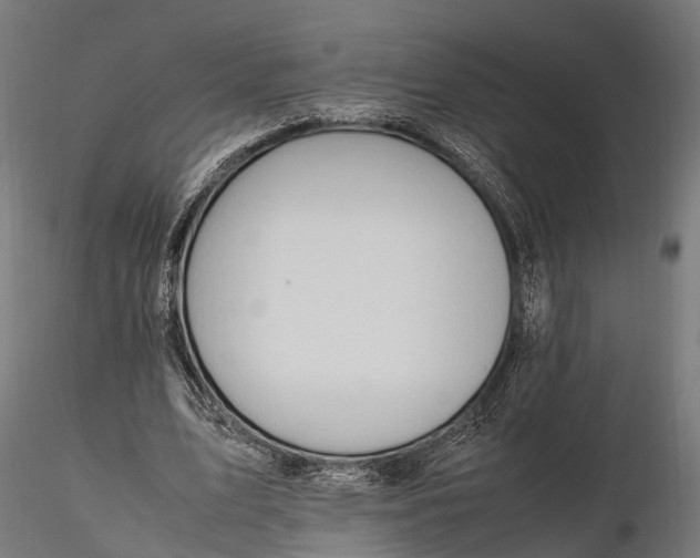 X0000116330583200912151307