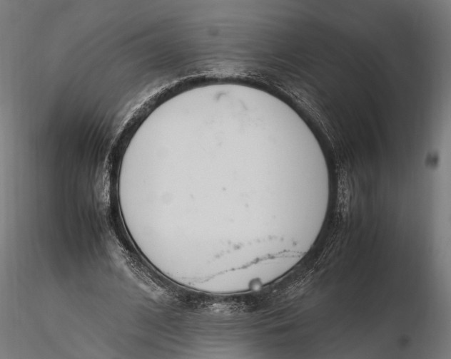 X0000116330584200912151307