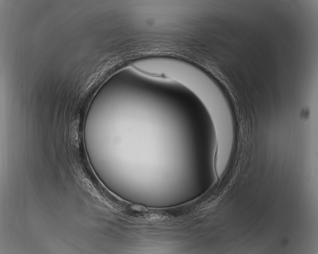 X0000116330585200912151307