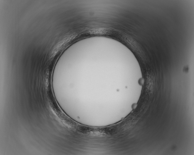 X0000116330586200912151307