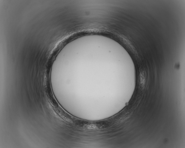 X0000116330588200912151307