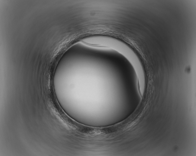 X0000116330589200912151307