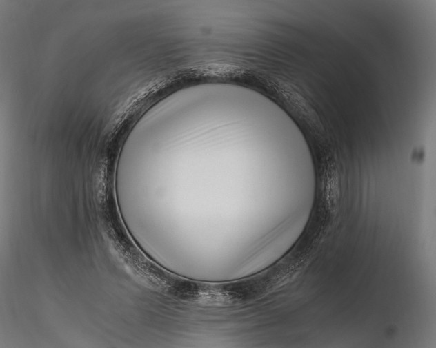 X0000116330591200912151307