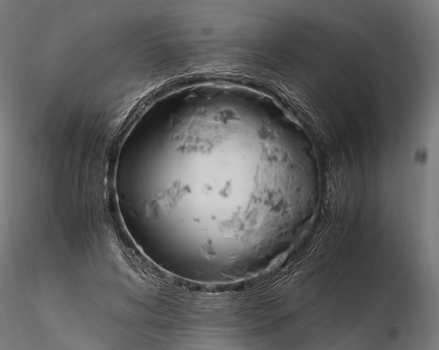 X0000116330592200912151307