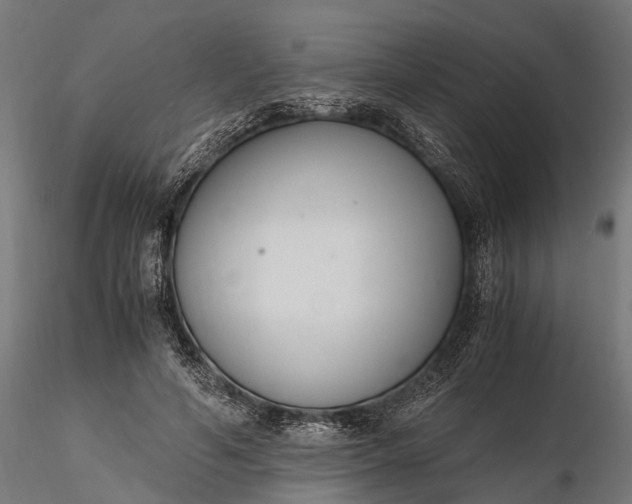 X0000116330594200912151307