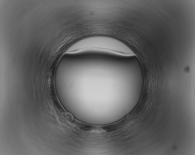 X0000116330595200912151307