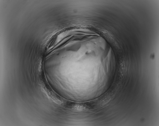 X0000116330596200912151307