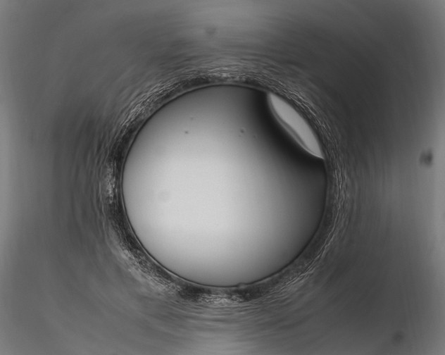 X0000116330597200912151307