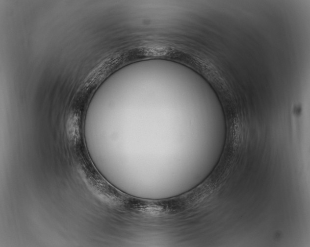 X0000116330598200912151307