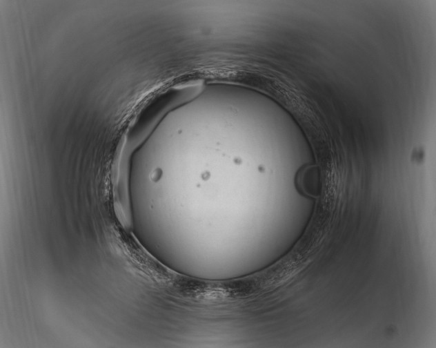 X0000116330600200912151307