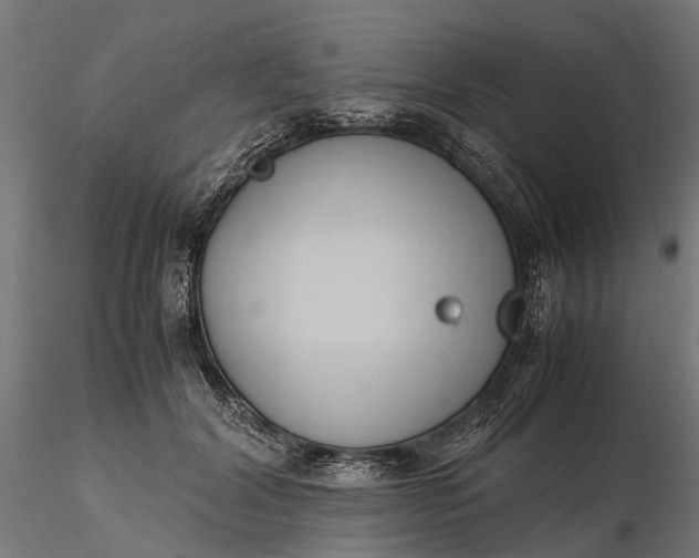 X0000116330604200912151307