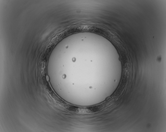 X0000116330605200912151307