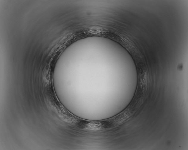 X0000116330606200912151307