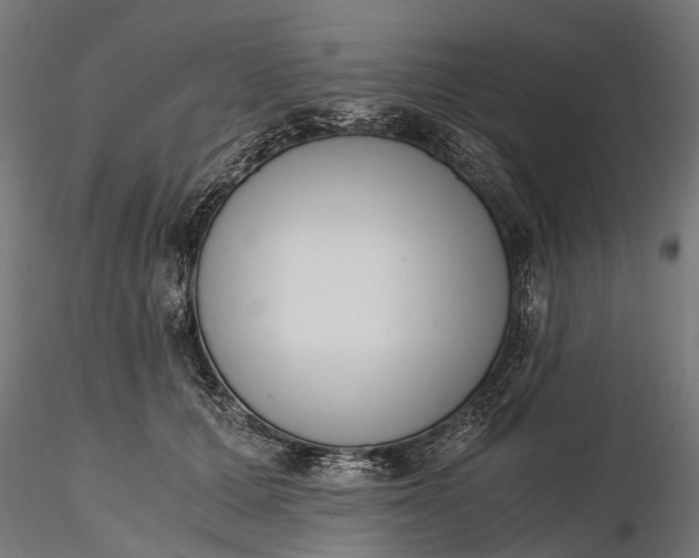 X0000116330607200912151307