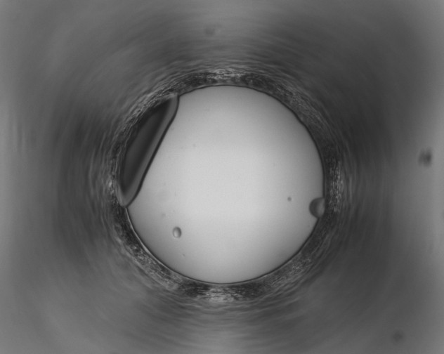 X0000116330608200912151307