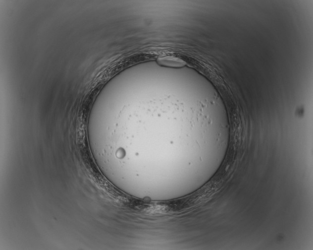 X0000116330609200912151307